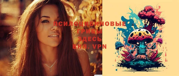 дмт Балахна