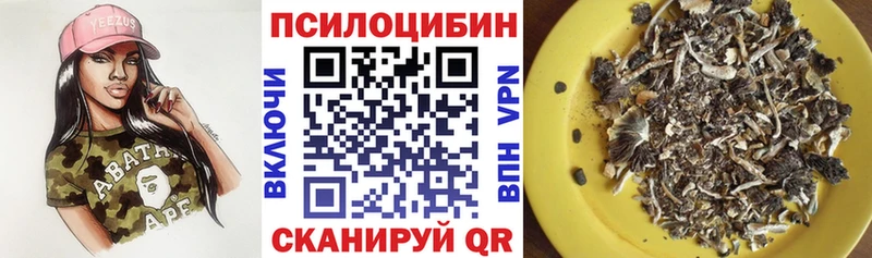Галлюциногенные грибы Psilocybine cubensis  цены   Нерюнгри 